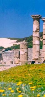 img maria varo 02 1449712c