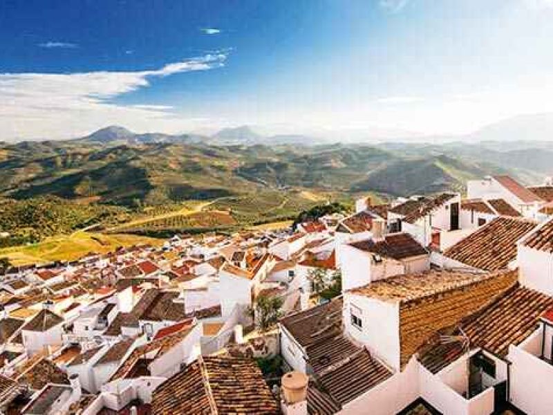 El PSOE pide a la Diputación de Málaga que amplíe la aportación a los Grupos de Desarrollo Rural de la provincia