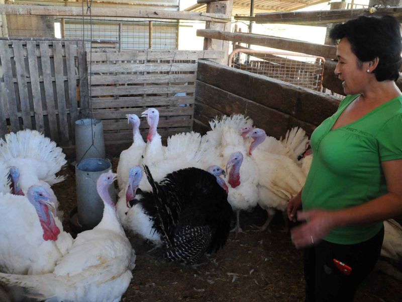 Las mujeres rurales son las cuidadoras del planeta