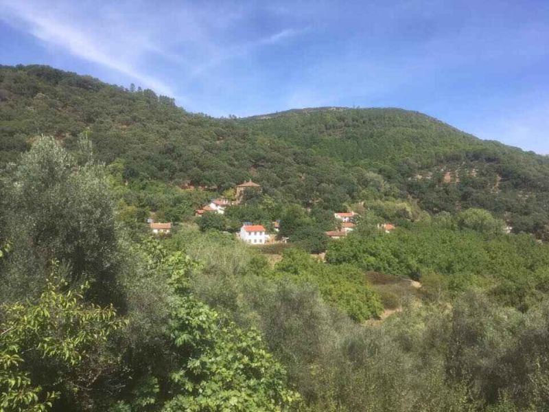 El Calabacino (Sierra de Aracena y Picos de Aroche), defensa de lo rural
