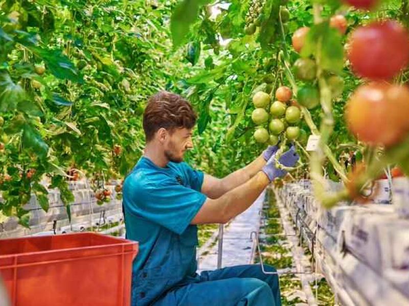 ES Andalucía: «Solo una cuarta parte del valor añadido de la cadena alimentaria corresponde al agricultor»