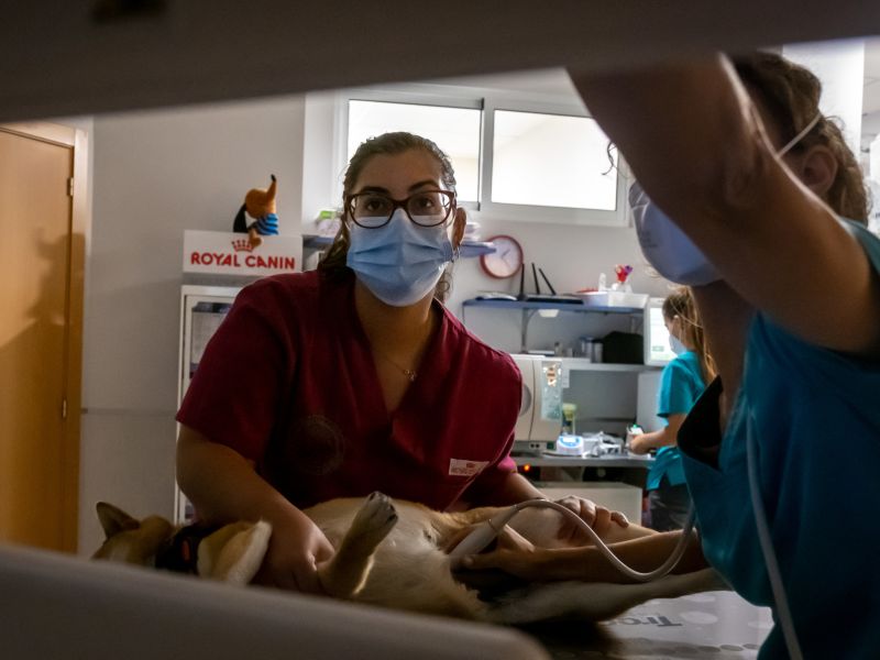 Diputación y los 5 Grupos de Desarrollo Rural de Huelva convocan 105 becas HEBE  para la juventud de las comarcas de la provincia