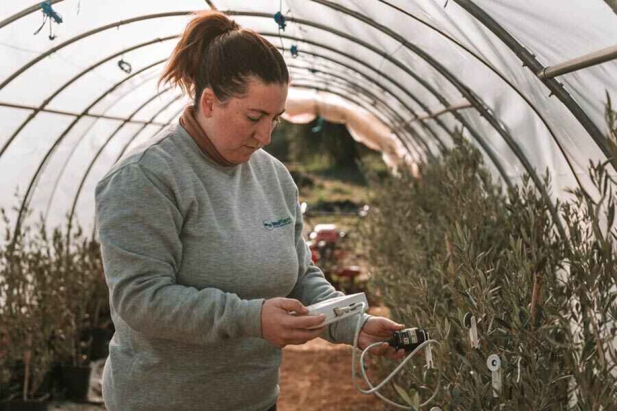 Mujeres rurales: el reto de emprender en el campo