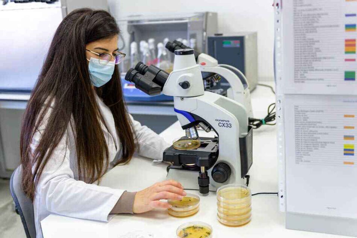 El Ministerio de Agricultura, Pesca y Alimentación destina 12M€ a subvencionar proyectos de innovación de la Asociación Europea para la Innovación