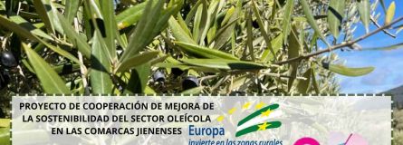 340130635 613160450678248 2970110645129667465 n 1a2edeef