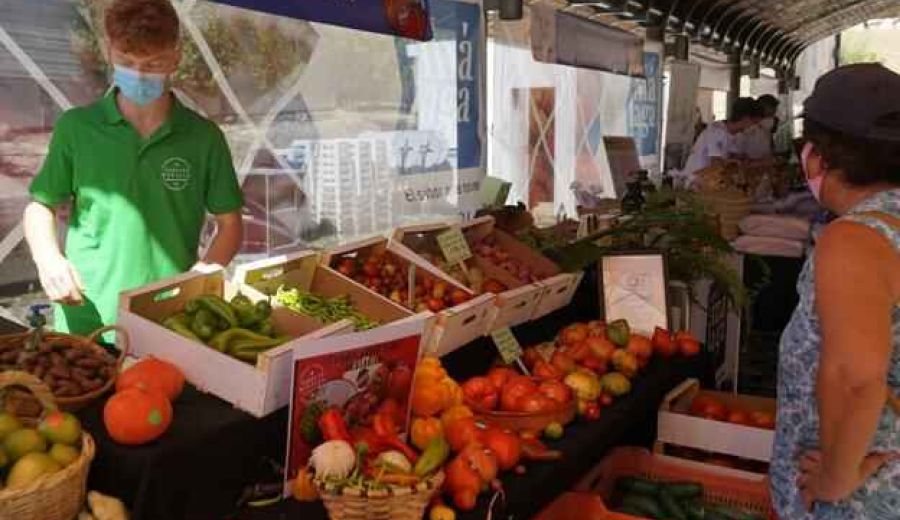 El tomate Huevo de Toro sobrevive a la incertidumbre con su tradicional subasta benéfica: 1.550 euros por el mejor lote