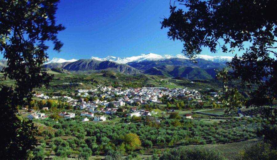 El Ministerio de Agricultura sigue con las políticas de Desarrollo Rural pero pierde las de Política Forestal