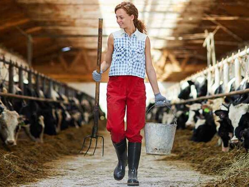 Andalucía aprueba el segundo “Plan sectorial de igualdad de oportunidades entre mujeres y hombres en la actividad agraria, pesquera y medioambiental de Andalucía-Horizonte 2027”