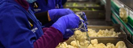 339669959 603272368349635 6999109393467782859 n 1c389d29