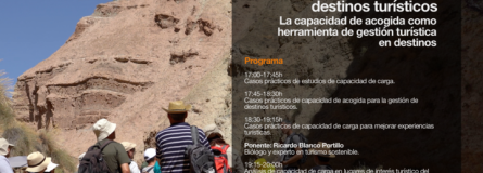 PROGRAMA VII SEMINARIO ONLINE CAPACIDAD DE CARGA 1d228427