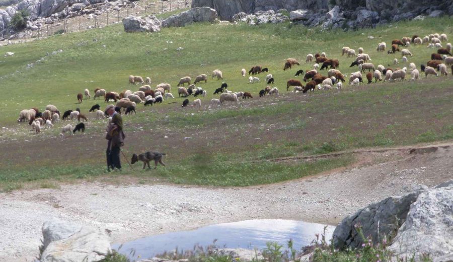 Despoblamiento y crisis climática, una combinación letal para las zonas rurales