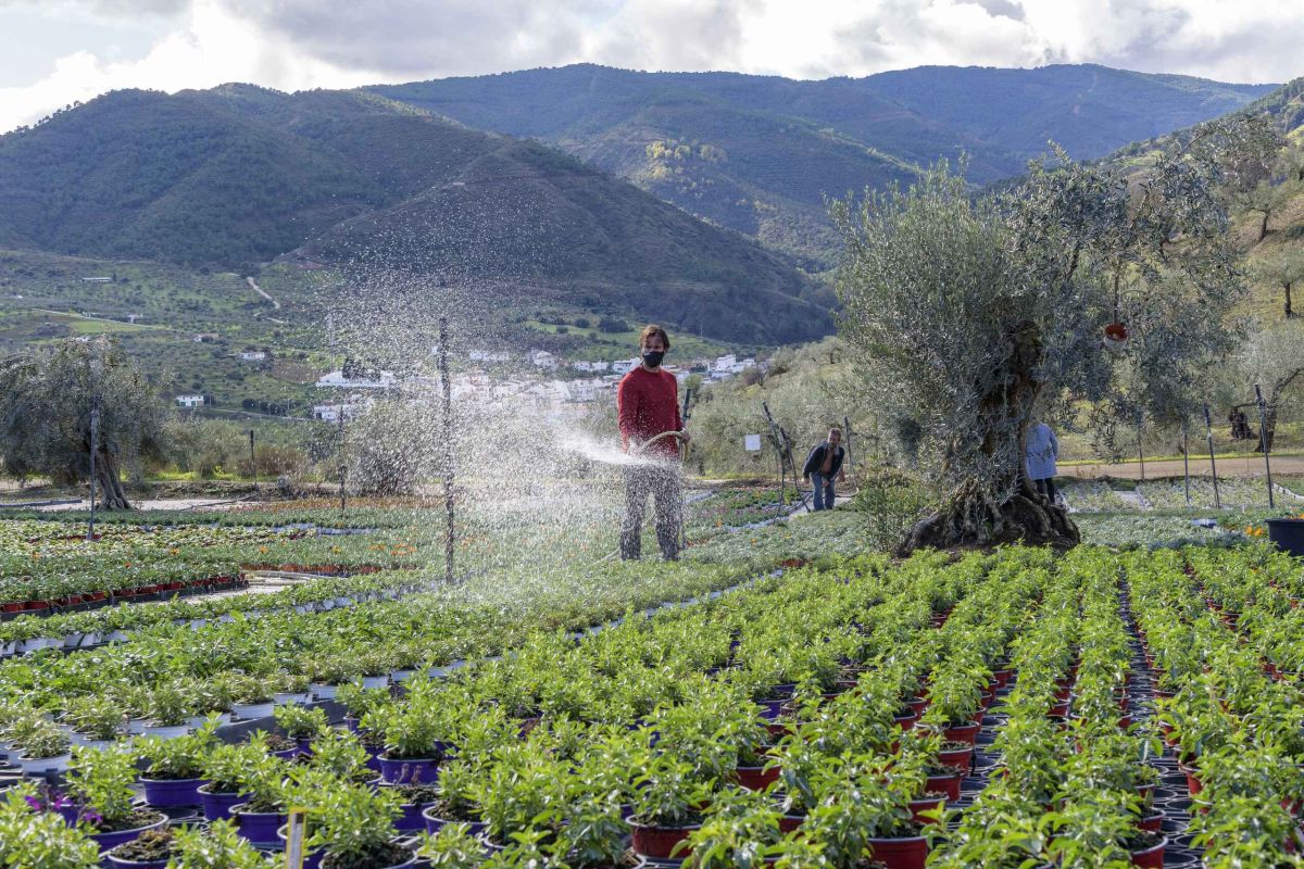 El 71% de los proyectos LEADER en Andalucía incluyen el enfoque ambiental