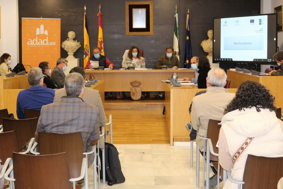 El GDR Aljarafe Doñana aprueba 431.000€ en ayudas a empresas y proyectos municipales