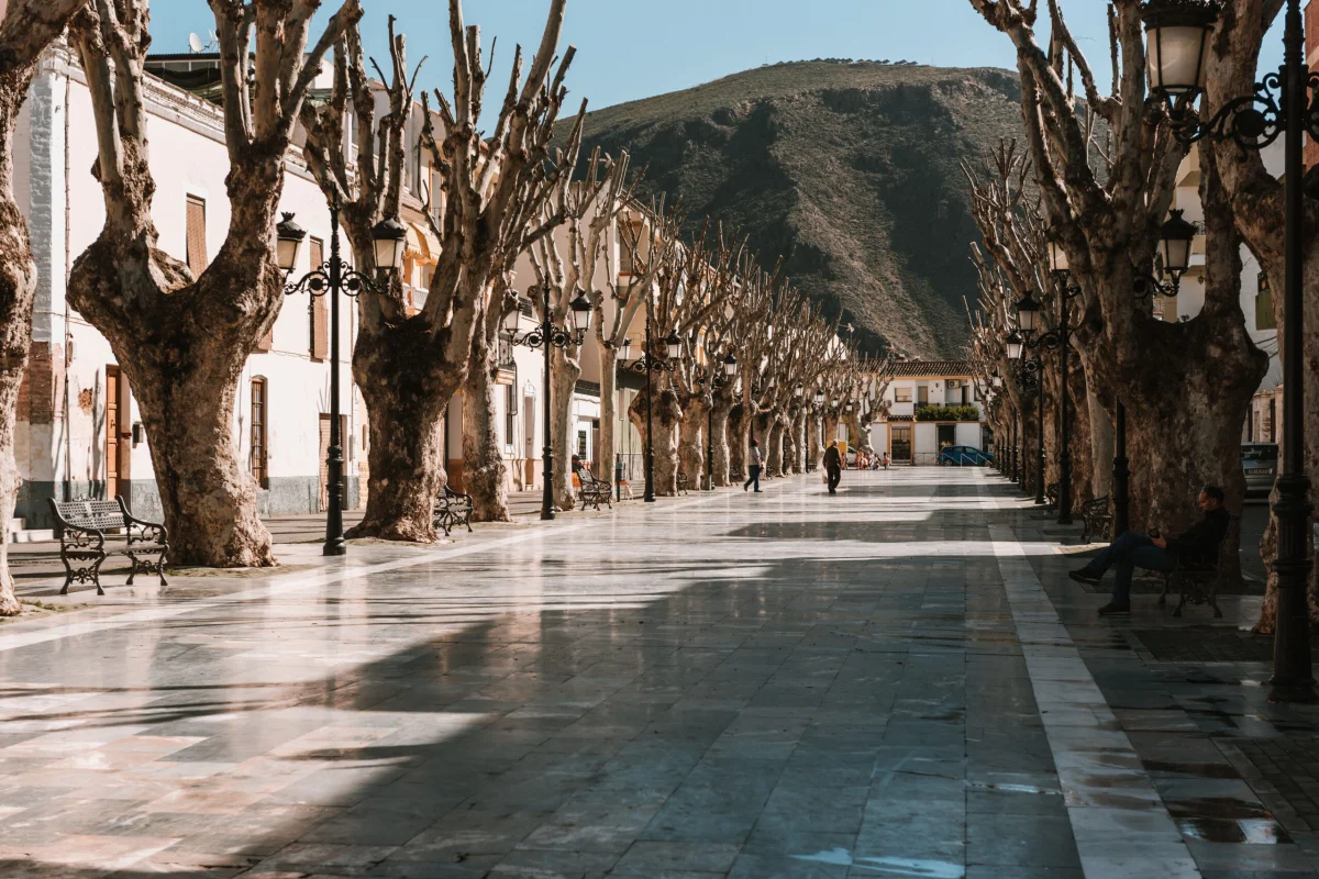 LEADER moviliza más de 6 millones € en inversiones al emprendimiento en la Alpujarra-Sierra Nevada Almeriense