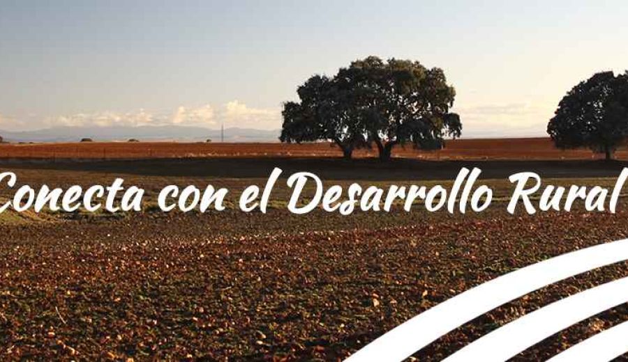 El papel de los Grupos de Acción Local para la reactivación de los territorios rurales frente a la crisis del COVID19