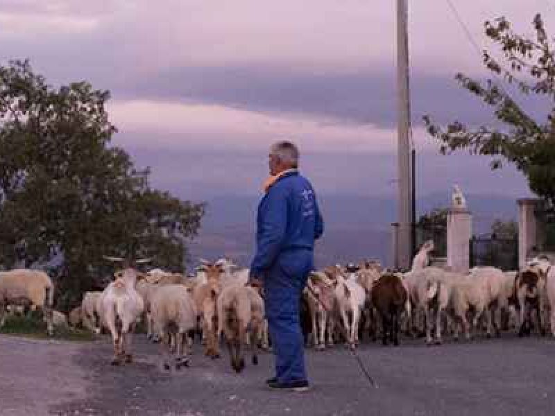 El medio rural condena rotundamente a la jueza que ha quitado la custodia de un hijo a su madre por vivir en la “Galicia profunda”