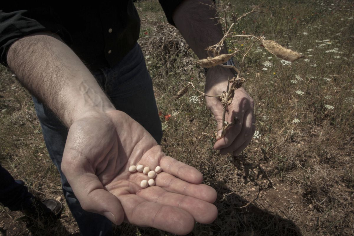 Abierta la convocatoria para participar en el programa Terralimenta