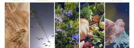 363335505 847806203399078 9128441184625626726 n 20d16b97