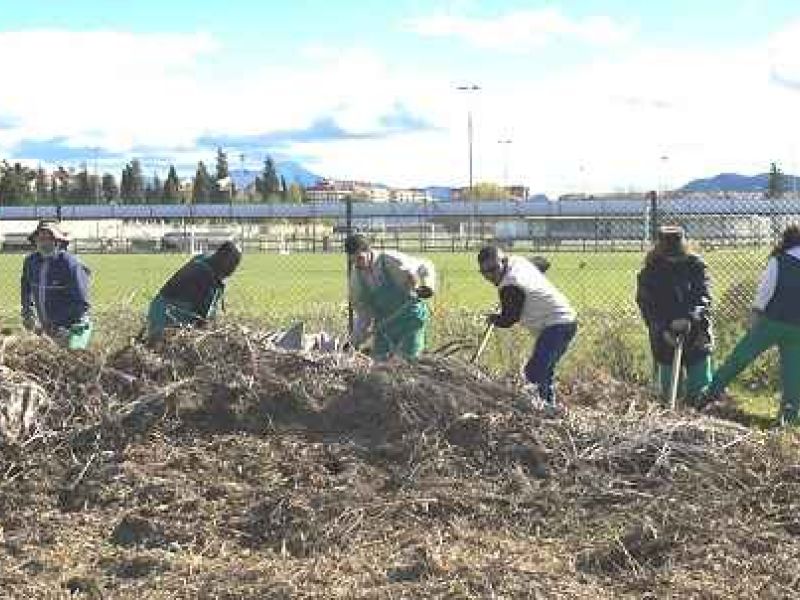 Capacitación agroecológica para asentar empleo rural