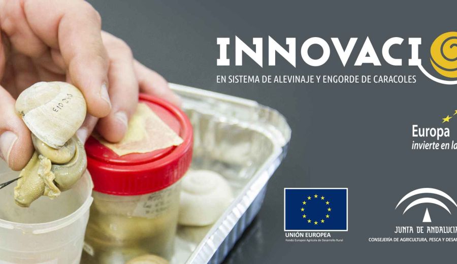 Cooperativas Agroalimentarias de Andalucía organiza  en Lora del Río (Sevilla) la jornada “La Helicicultura y el proyecto Heligemas”