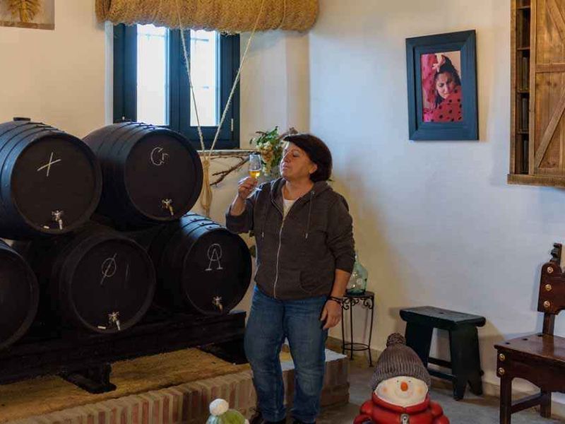 Campiña de Jerez y Costa Noroeste de Cádiz apoya nuevas iniciativas en torno al turismo enológico y experiencial
