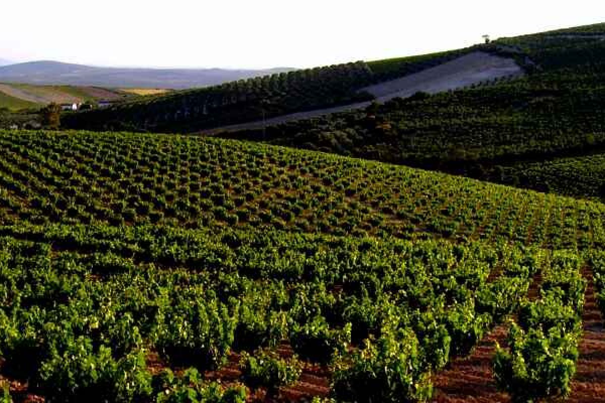 El Grupo Campiña Sur de Córdoba impulsa ayudas de más de un millón de euros para proyectos de desarrollo territorial