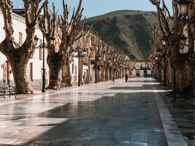 LEADER moviliza más de 6 millones € en inversiones al emprendimiento en la Alpujarra-Sierra Nevada Almeriense