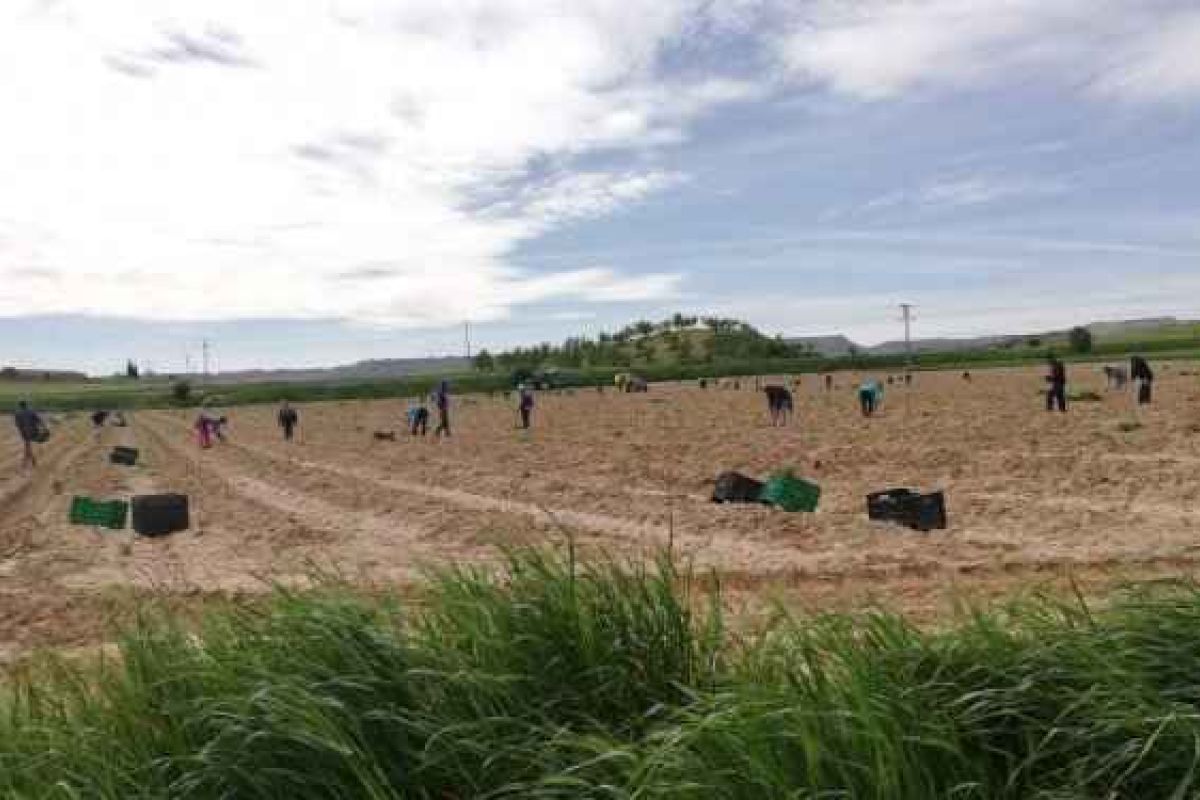 Llenando (temporalmente) pueblos vaciados