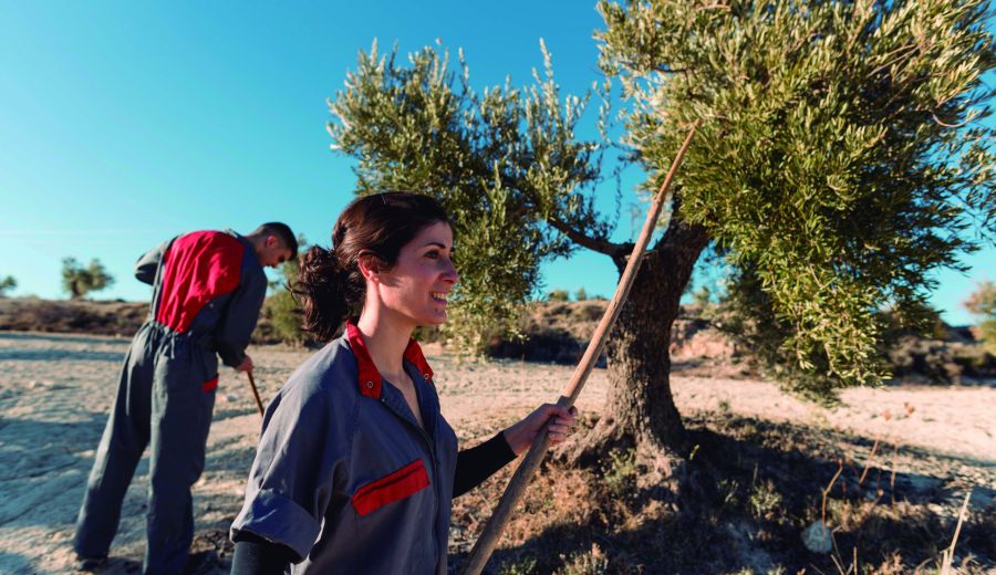 El Ministerio de Agricultura, Pesca y Alimentación vuelve a convocar las ayudas a las explotaciones agrarias en régimen de titularidad compartida
