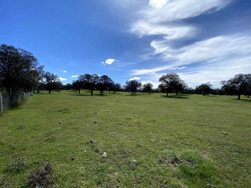 Agricultura aprueba nuevas ayudas para proyectos LEADER en Sierra Morena Cordobesa y Los Pedroches