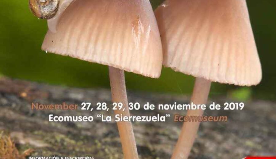 El GDR Medio Guadalquivir colabora en las jornadas “Sierra de Posadas”, referente del micoturismo en la provincia