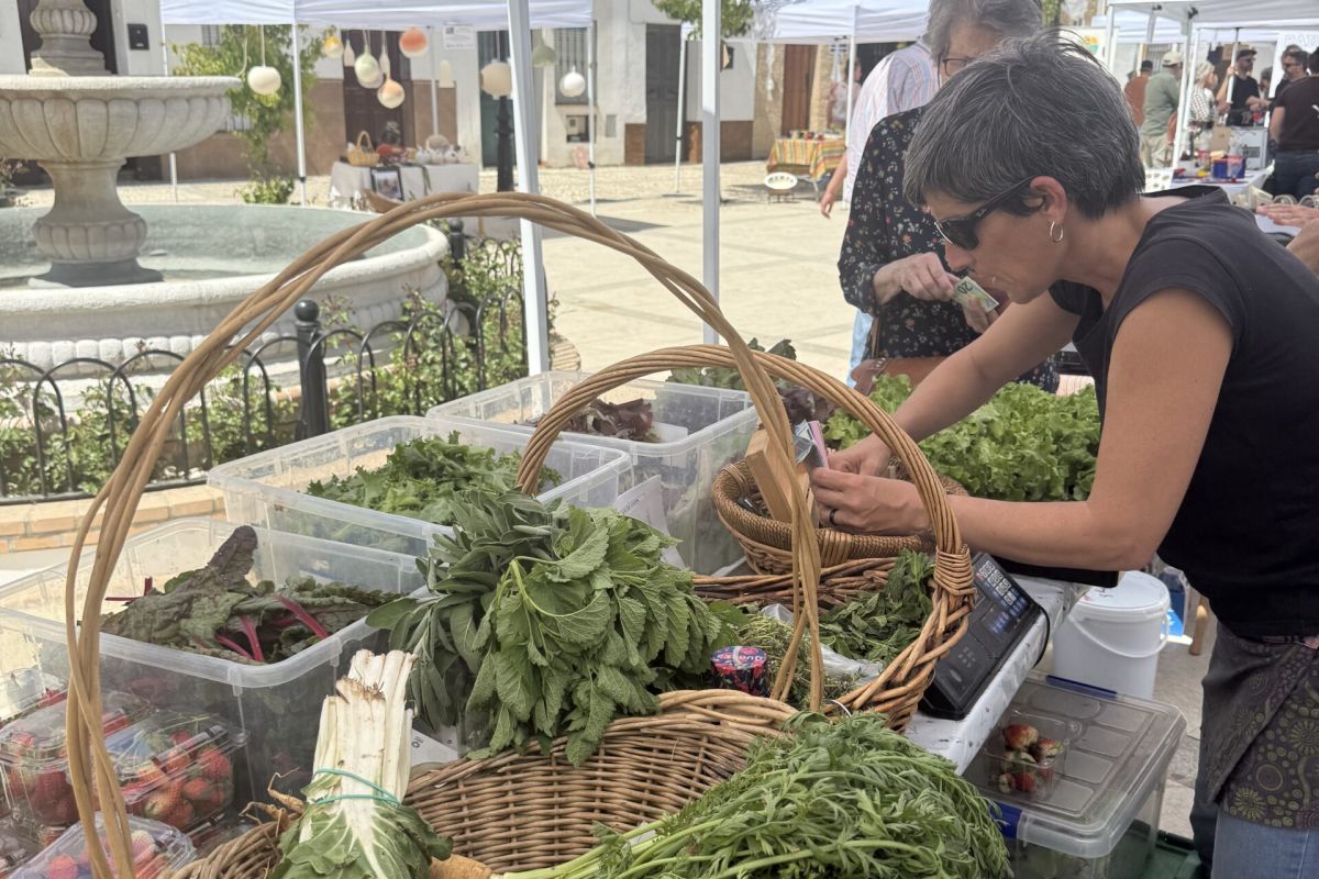La mayoría de la sociedad española respalda la alimentación sostenible