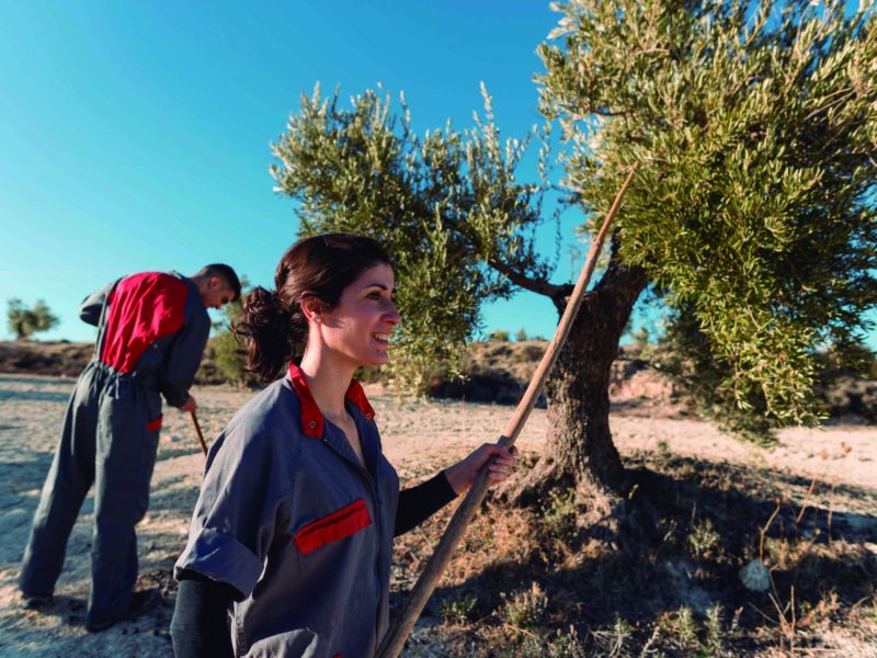 Andalucía  impulsa la primera ley de mujeres rurales, del mar y del sector medioambiental