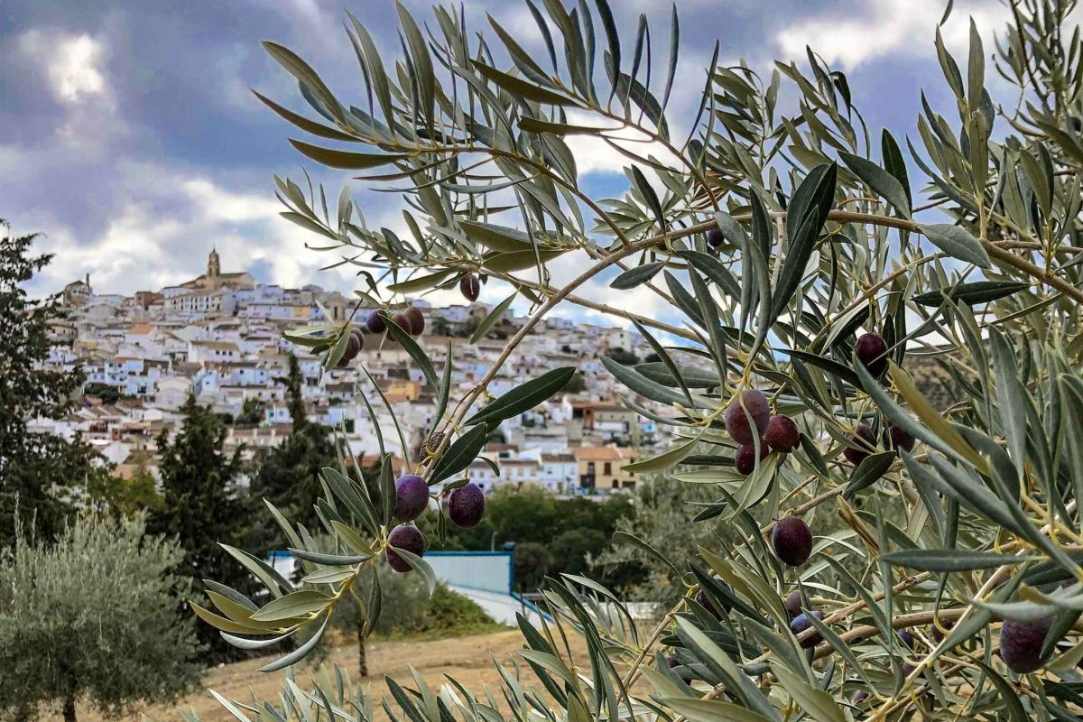 Las empresas agroalimentarias andaluzas se dan cita en el Salón Gourmets