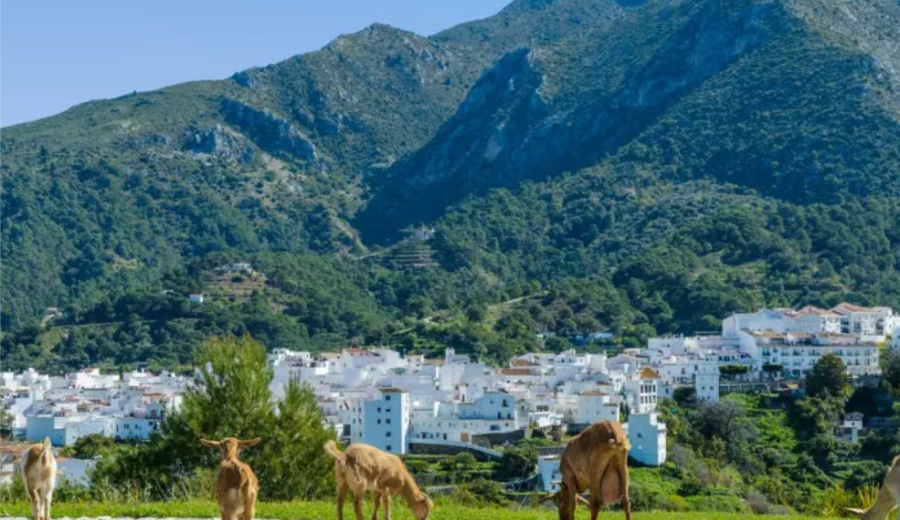 Arranca la ruta en bicicleta del MITECO que visibilizará proyectos de innovación y transformación territorial con parada en Andalucía