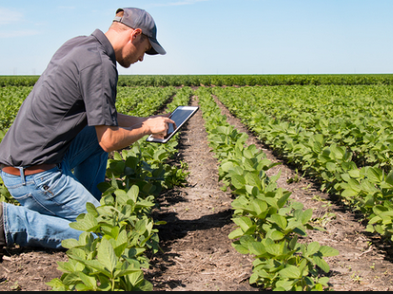 El IAJ organiza el encuentro de agricultura y sostenibilidad “Claves para evitar la despoblación juvenil en el medio rural”