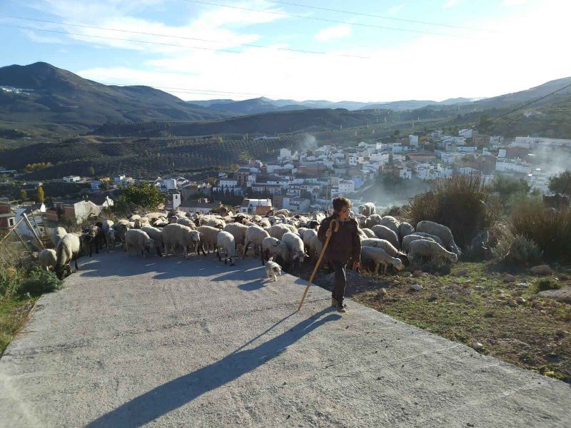 El Ministerio de Agricultura, Pesca y Alimentación destina 400.000 euros a subvenciones para entidades de mujeres rurales de ámbito nacional