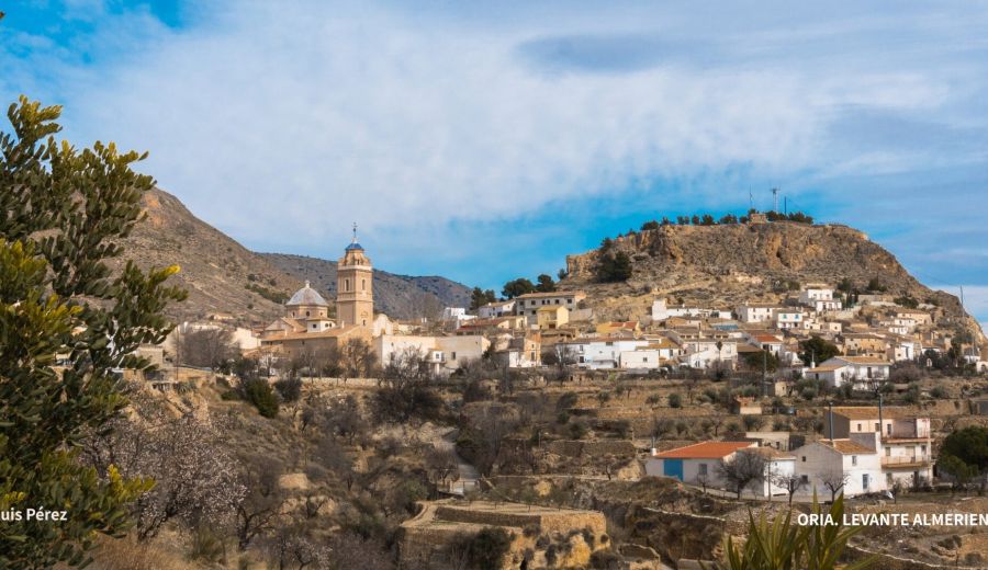 426 pueblos de Andalucía podrán acogerse a incentivos fiscales para frenar la despoblación