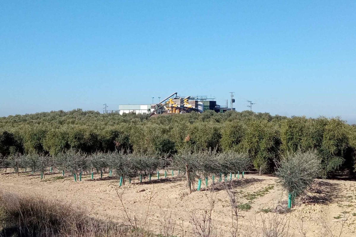 Montilla acoge unas jornadas para analizar las alianzas entre territorios sostenibles y biodistritos