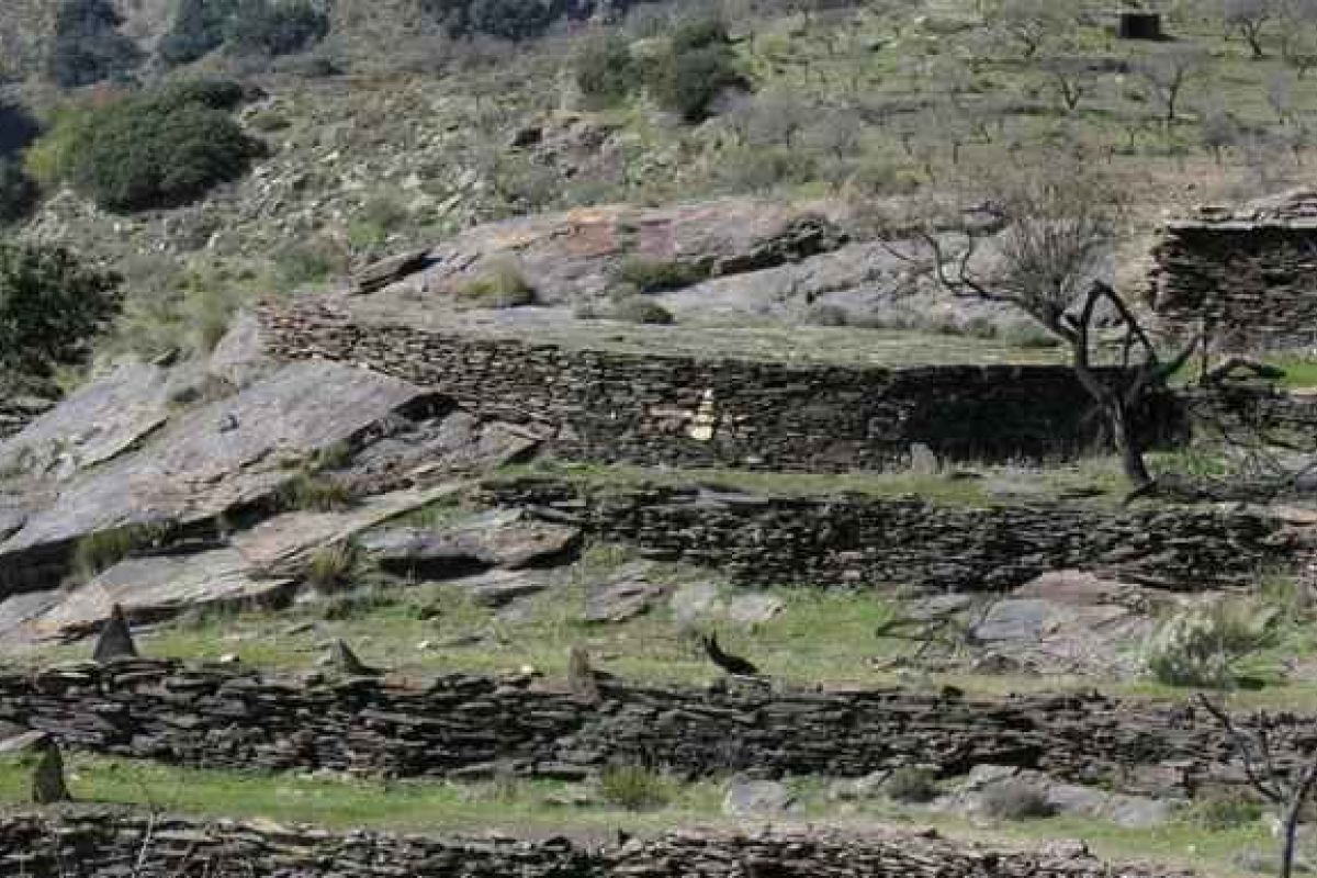 Los balates de la Axarquía, reconocidos como Patrimonio de la Humanidad por la Unesco