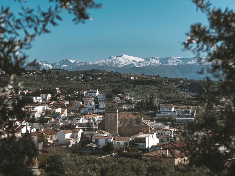 Agricultura destina más de 1M€ a proyectos de desarrollo rural en el Altiplano, Alfanevada, Guadix y Poniente Granadino