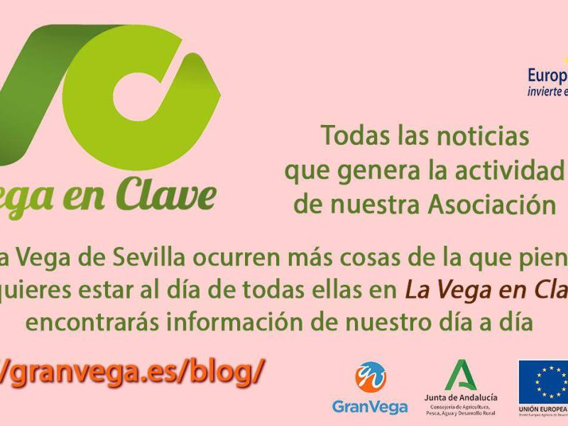 Gran Vega de Sevilla publica el blog “La Vega en clave” con toda la actualidad del Grupo de Desarrollo Rural