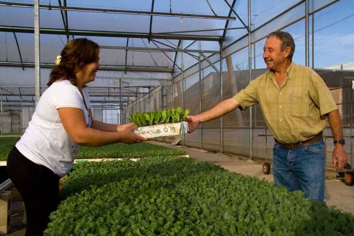 Tras ocho años de Ley, Andalucía no llega a las 300 explotaciones agrarias de titularidad compartida