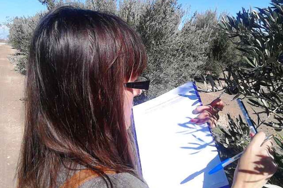 Las mujeres toman las riendas del emprendimiento en el mundo rural