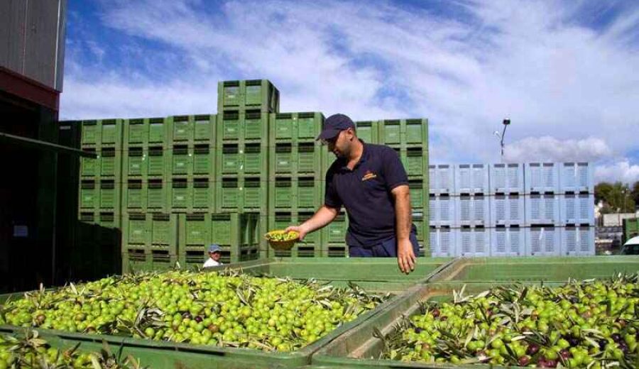El Parlamento Europeo da pasos para garantizar el cobro de la PAC durante dos años más y exige que sea sin recortes
