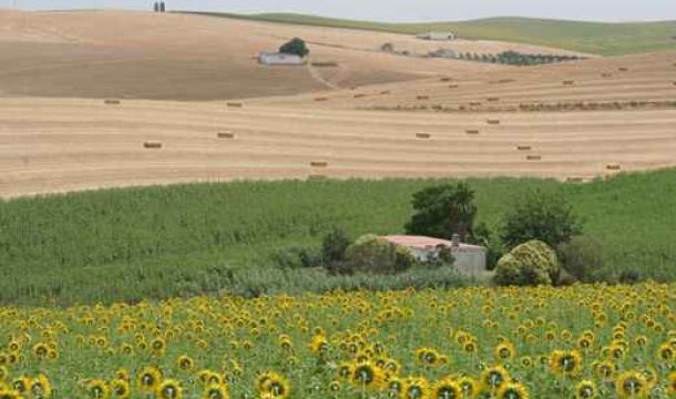 Grupo de Desarrollo Rural Medio Guadalquivir