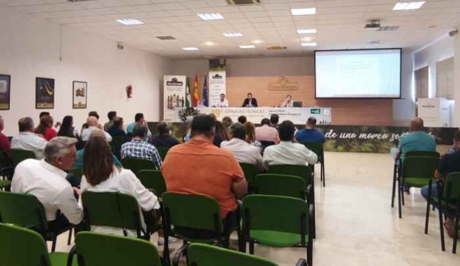 Se constituye la nueva Asociación de Desarrollo Rural de las comarcas de Osuna y Estepa