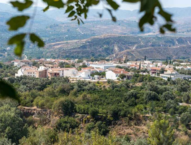 Francesc Boya: “Hay que construir una nueva visión del entorno rural como una oportunidad para vivir de una forma distinta”