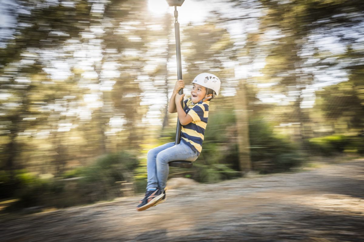 La Comisión Europea analiza el impacto de la PAC en las políticas de desarrollo rural