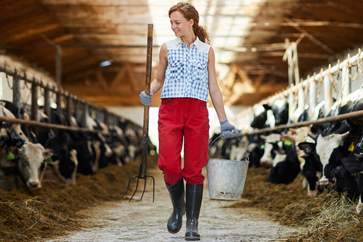 Andalucía aprueba el segundo "Plan sectorial de igualdad de oportunidades entre mujeres y hombres en la actividad agraria, pesquera y medioambiental de Andalucía-Horizonte 2027" Asociación para el Desarrollo Rural de Andalucía Andalucía aprueba el segundo “Plan sectorial de igualdad de oportunidades entre mujeres y hombres en la actividad agraria, pesquera y medioambiental de Andalucía-Horizonte 2027”